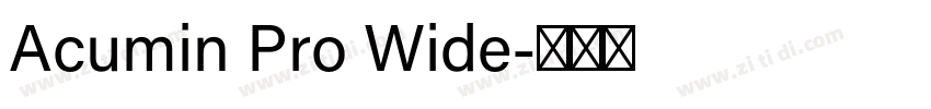 Acumin Pro Wide字体转换